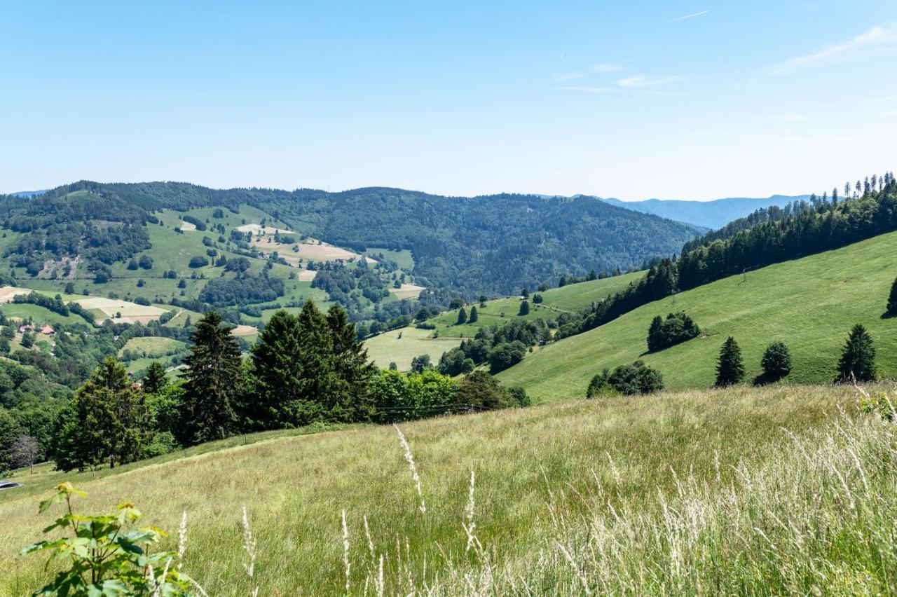 Fewo Im Lenzengarten Apartment Sulzburg Bagian luar foto
