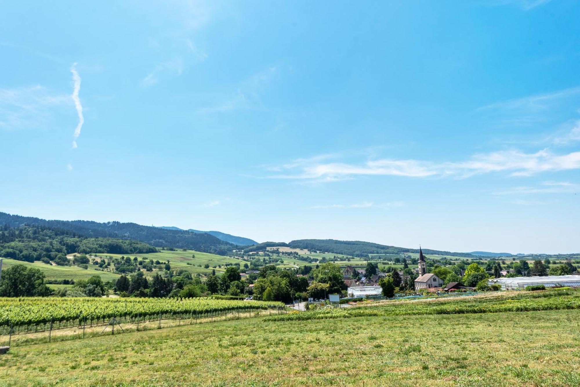 Fewo Im Lenzengarten Apartment Sulzburg Bagian luar foto